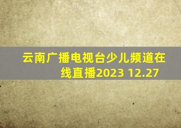 云南广播电视台少儿频道在线直播2023 12.27